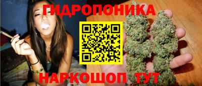 гашик Нарткала