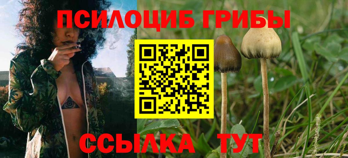 Галлюциногенные грибы мицелий  Галлюциногенные грибы Psilocybine cubensis  Среднеуральск  Вход с VPN 