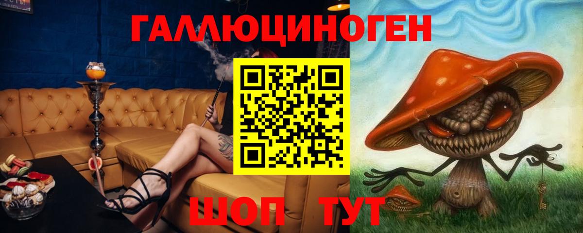 Псилоцибиновые грибы Psilocybine cubensis Среднеуральск